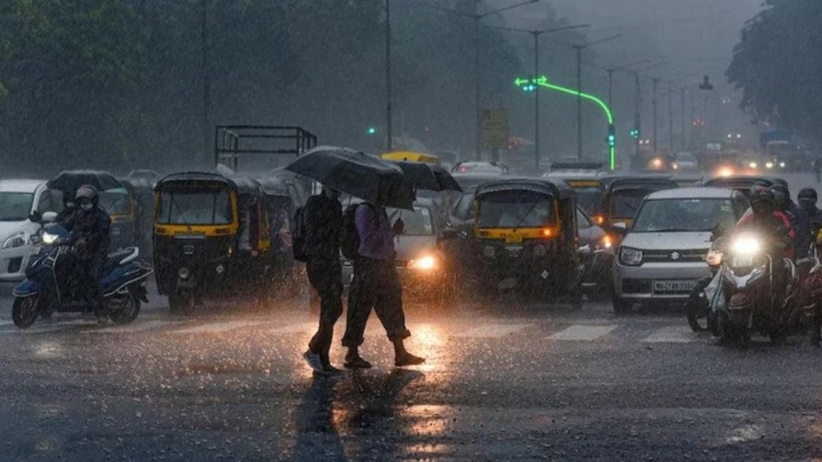 India weather update: Delhi-NCR wakes up to heavy fog after rains, IMD predicts more rainfall in February