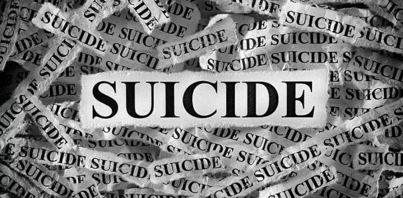 suicide hamirpur