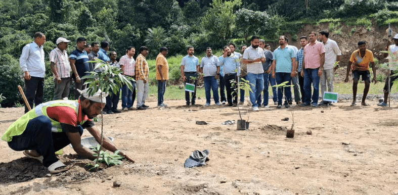 On PM Modi’s birthday, plantation drive conducted at Nela along Mandi-Manali four-lane highway