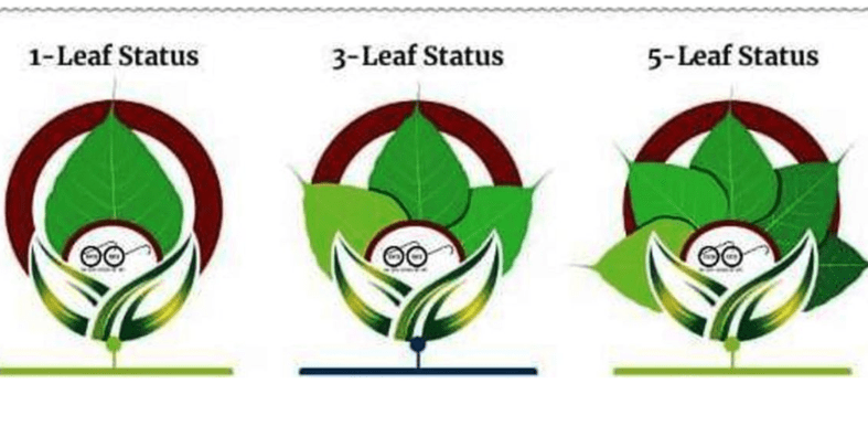 In Mandi’s Chauntra, hotels & home stays to attract tourists via new green rating system