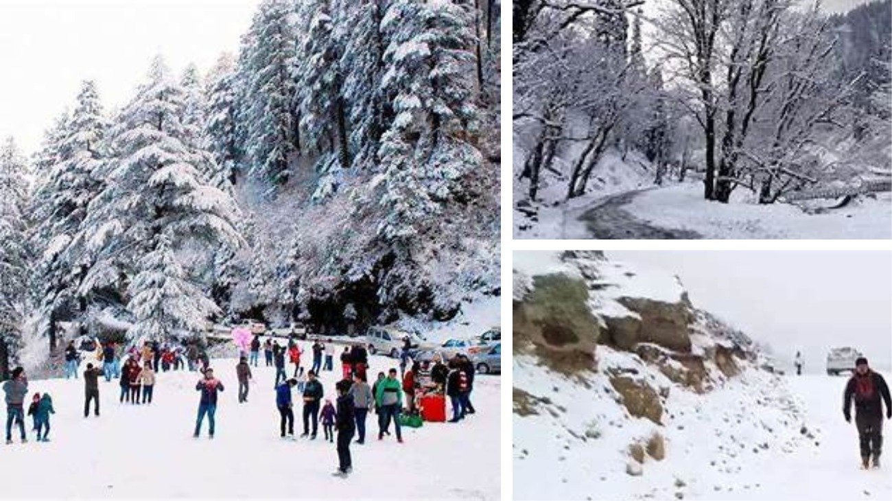 Himachal weather: Tourist hubs of Manali, Kufri, Lahaul wake up to white mantle of snow