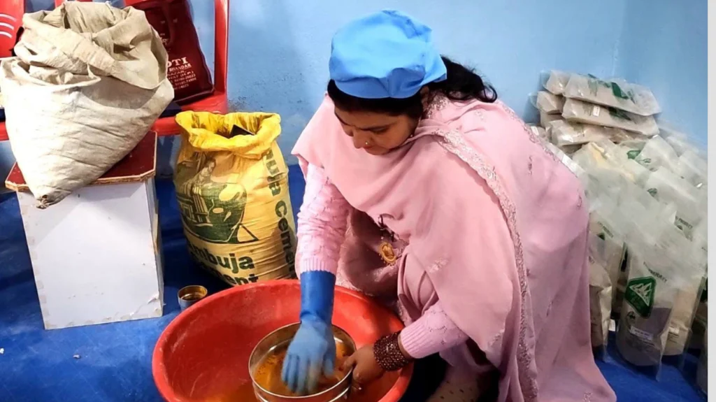 Women in Dharampur belt of Himachal taste success with organic turmeric farming 3 a4 11