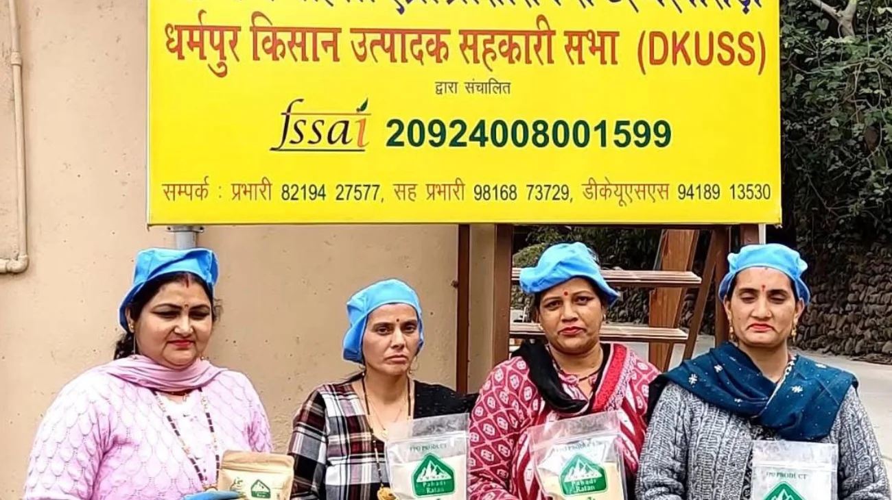 Women in Dharampur belt of Himachal taste success with organic turmeric farming