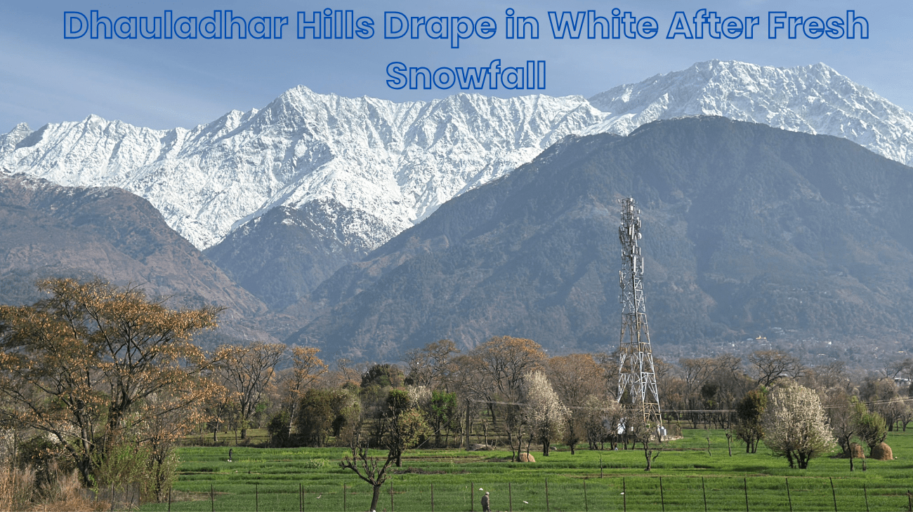 Dhauladhar Hills Drape in White After Fresh Snowfall in Himachal