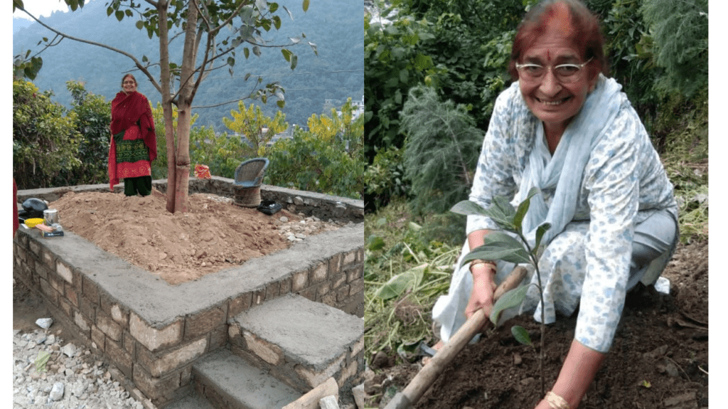 One-woman revolution in Himachal: How Mandi’s Krishna Thakur turned dump yard into green paradise 2 a1 16