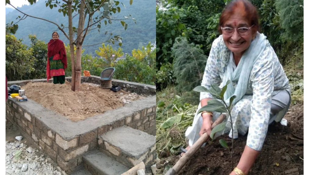 One-woman revolution in Himachal: How Mandi’s Krishna Thakur turned dump yard into green paradise 2 a1 16