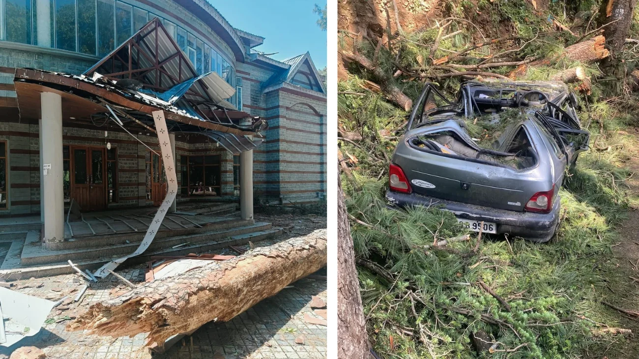 Fierce storm leaves trail of destruction in Himachal; 3 injured in Kangra as tree falls on car; major outages in many parts