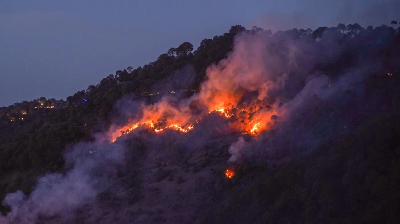 As summer sets in, wildfires once again scorch Himachal forests; Mandi, Bilaspur worst hit