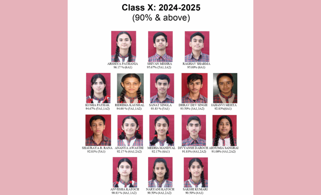 DAV Palampur Achieves 100% Pass Rate in CBSE Classes XII and X Board Exams 4 10