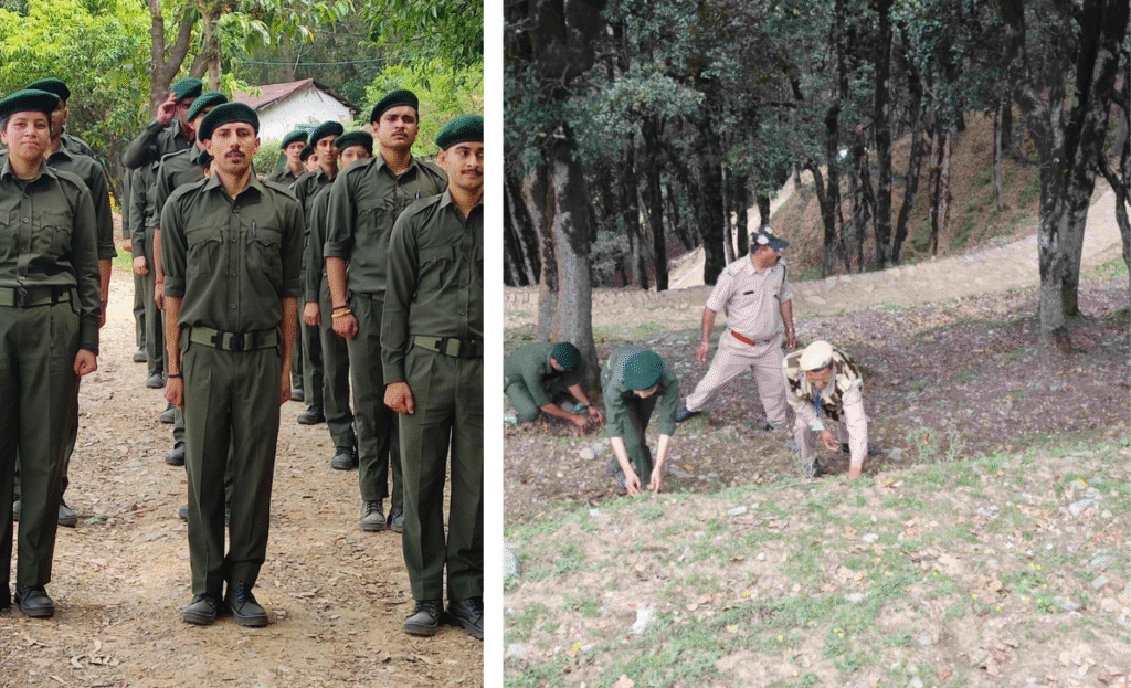 Himachal Van Mitra Scheme empowering local youth to protect forests, 188 of 309 appointees in Mandi women 2 a1 22