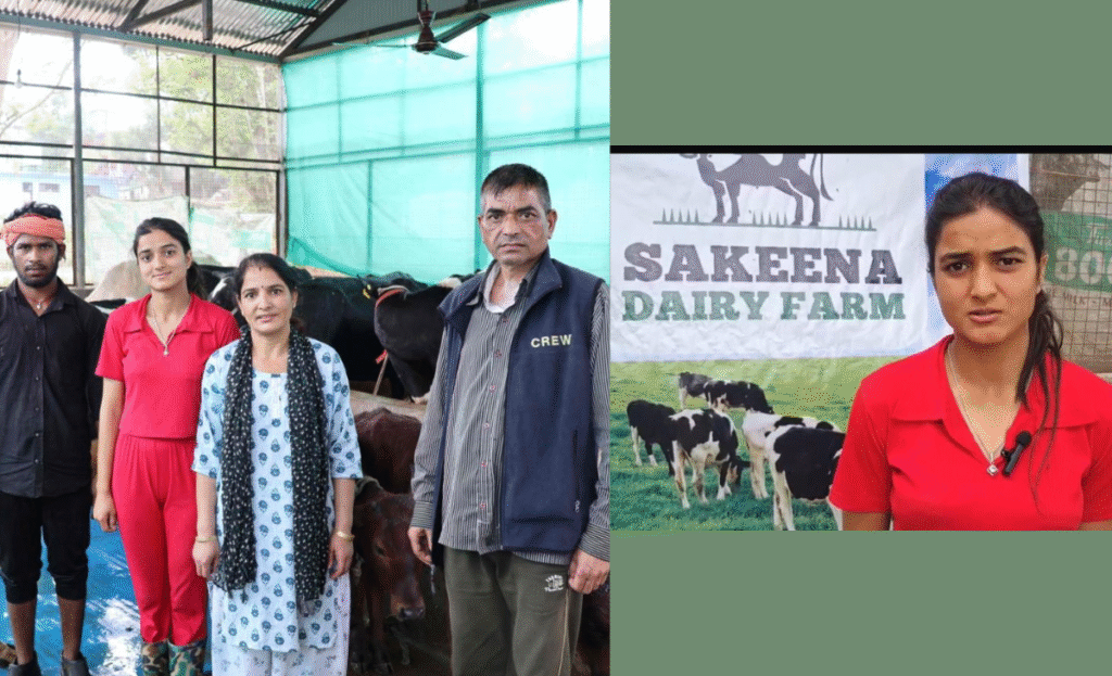 Himachal post-graduate woman milks lakhs from dairy business in Mandi, buys high-yielding cows from Bathinda 3 a4 5
