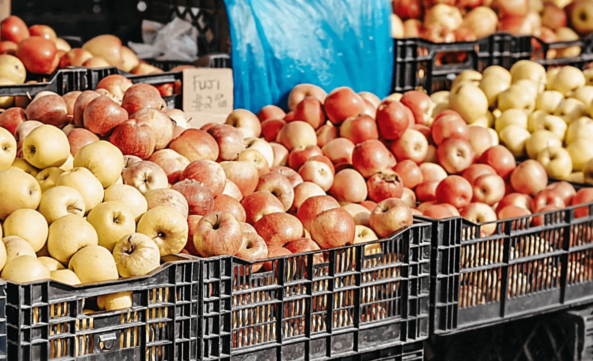 India imported record Turkish apples in 2023, now Himachal CM writes to PM to check trend, lists what all’s at stake