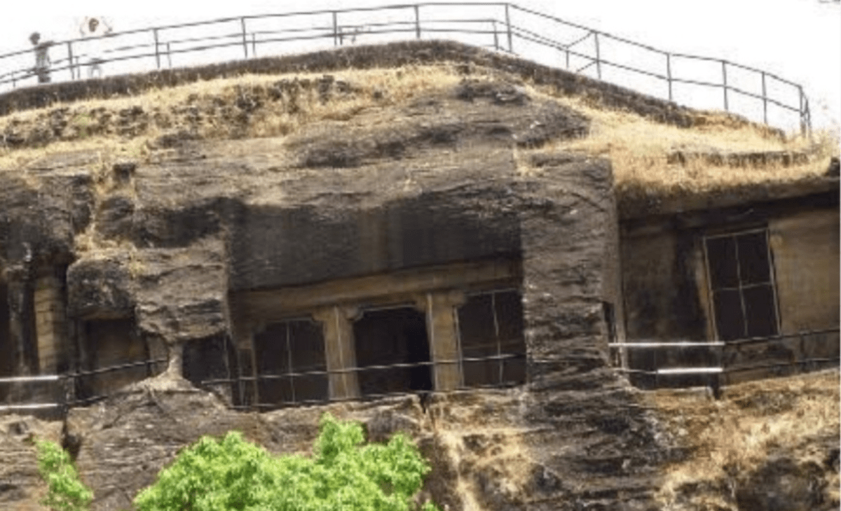 Satpura Ke Ghane Jungle’ under threat from fires, construction, modernisation
