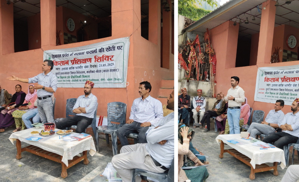 Awareness Camp on Spice Cultivation Held in Bharmour 2 z1 1