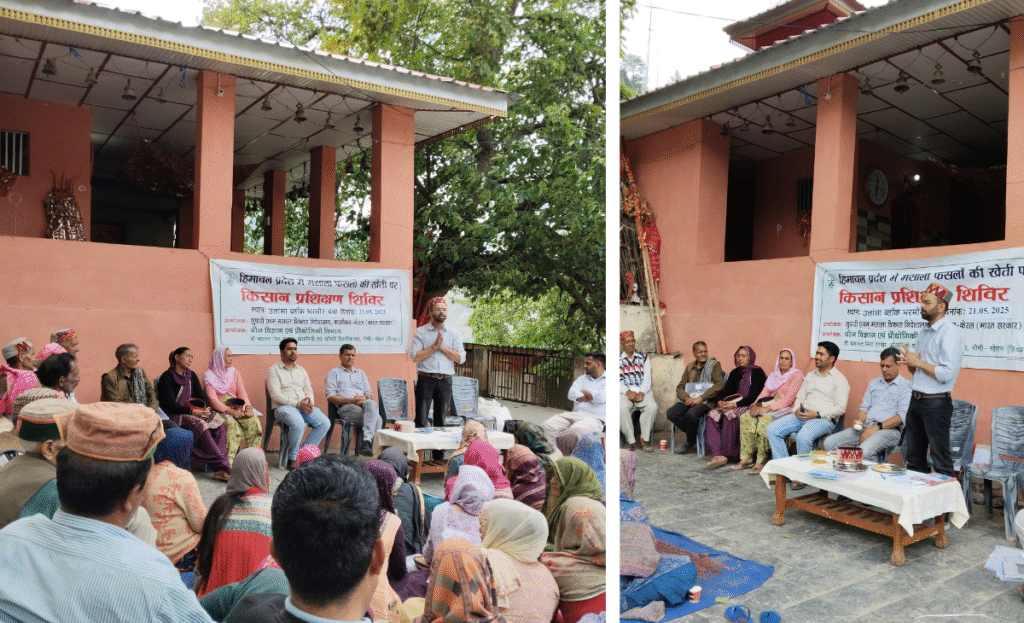 Awareness Camp on Spice Cultivation Held in Bharmour 3 z2 1