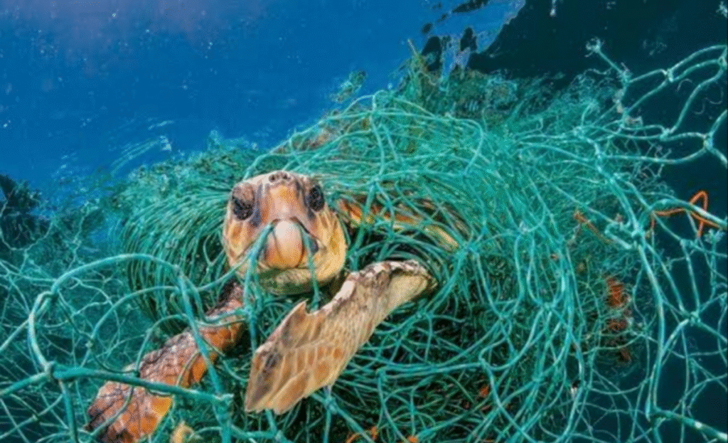 As expanding waste in marine waters takes shape of silent catastrophe, here are 6 ways to counter menace 2 a6
