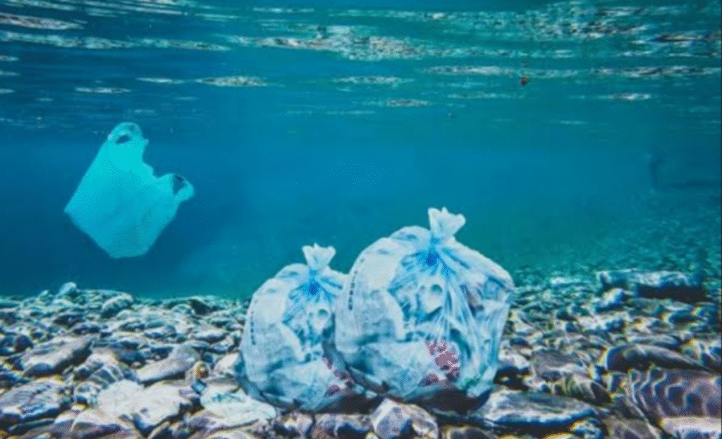 As expanding waste in marine waters takes shape of silent catastrophe, here are 6 ways to counter menace 3 a7