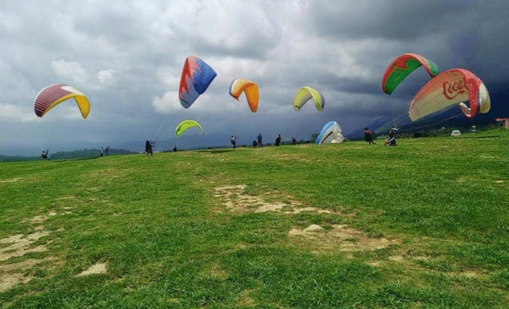 5 places you must visit in Palampur 3 para