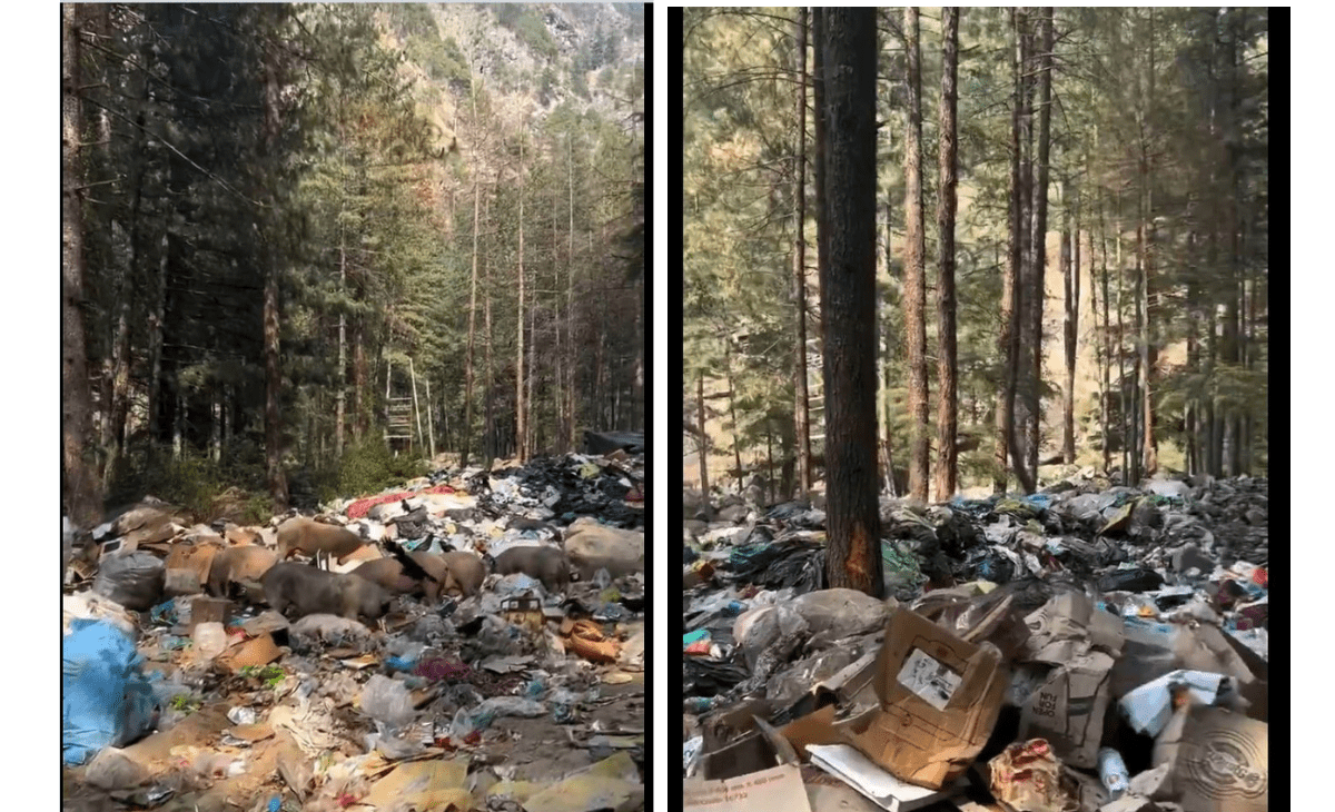 Garbage Crisis Tarnishes Himachal’s ‘Mini Israel’