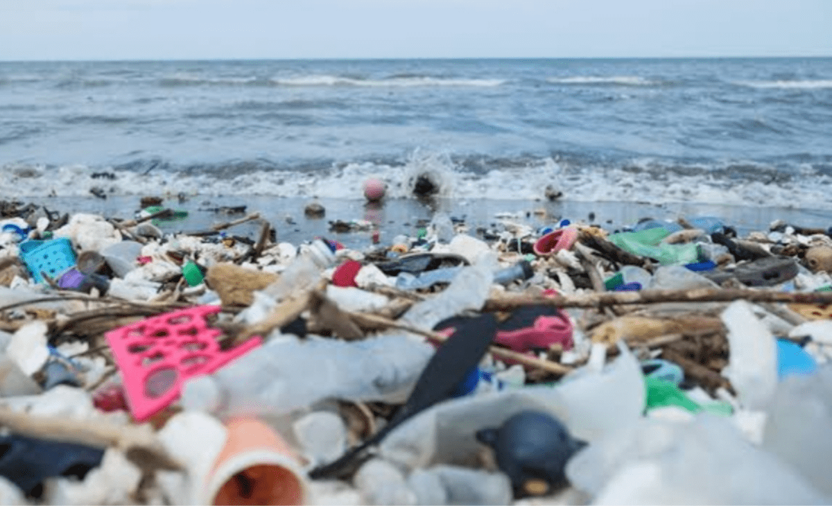 As expanding waste in marine waters takes shape of silent catastrophe, here are 6 ways to counter menace