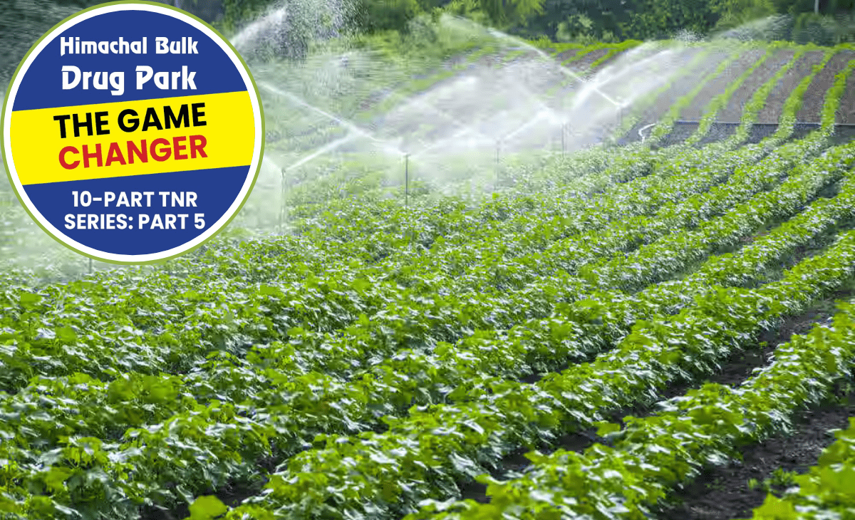 Alongside industrial growth, Bulk Drug Park to bring irrigation lifeline for Haroli farmers
