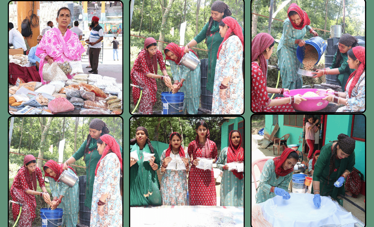 Himachal trailblazer: Mandi woman who struggled for food during Covid now employs 8 in self-help group