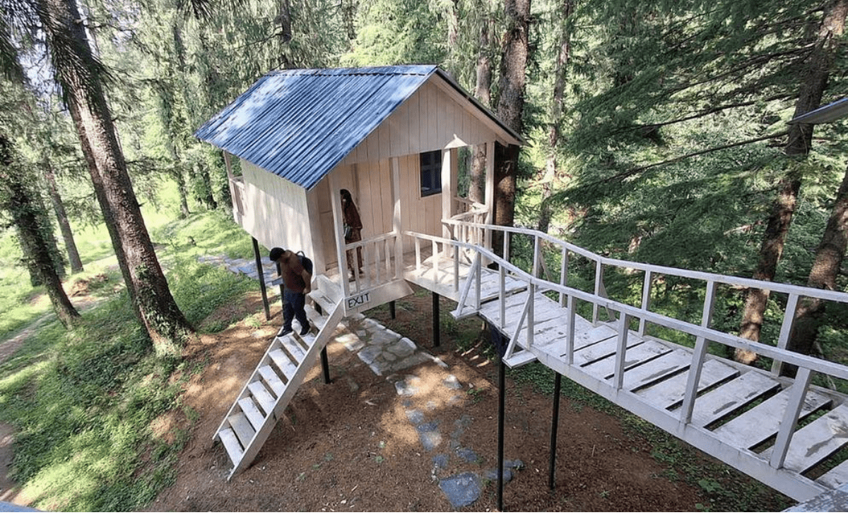 Bhulah Biodiversity Park in Mandi’s Janjehli emerging as top tourist destination of Himachal