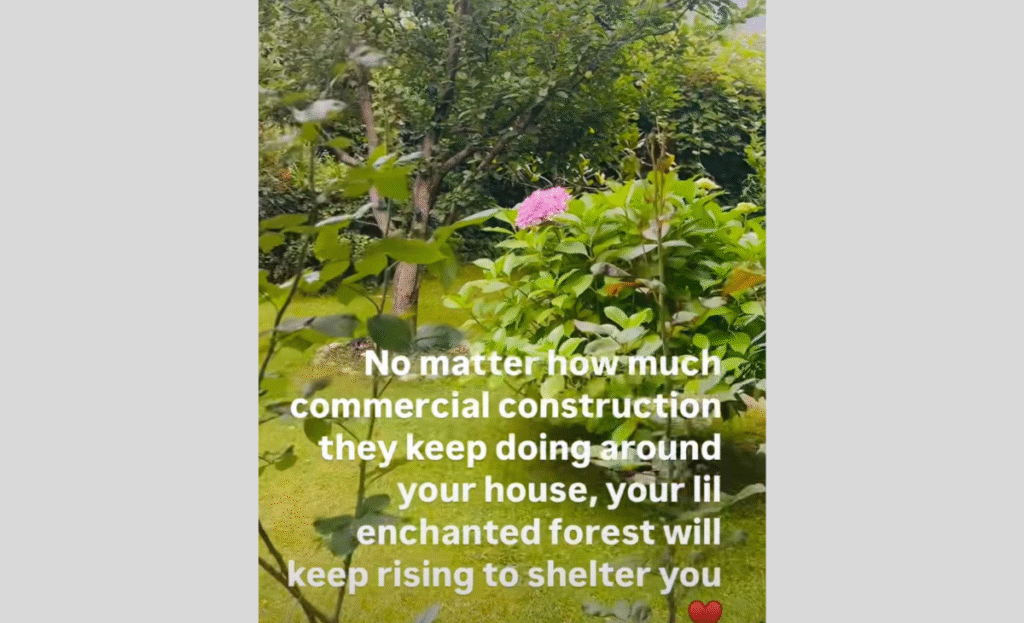Kangana Ranaut shares a thoughtful response as tall buildings rise around her Manali Home 3 s2
