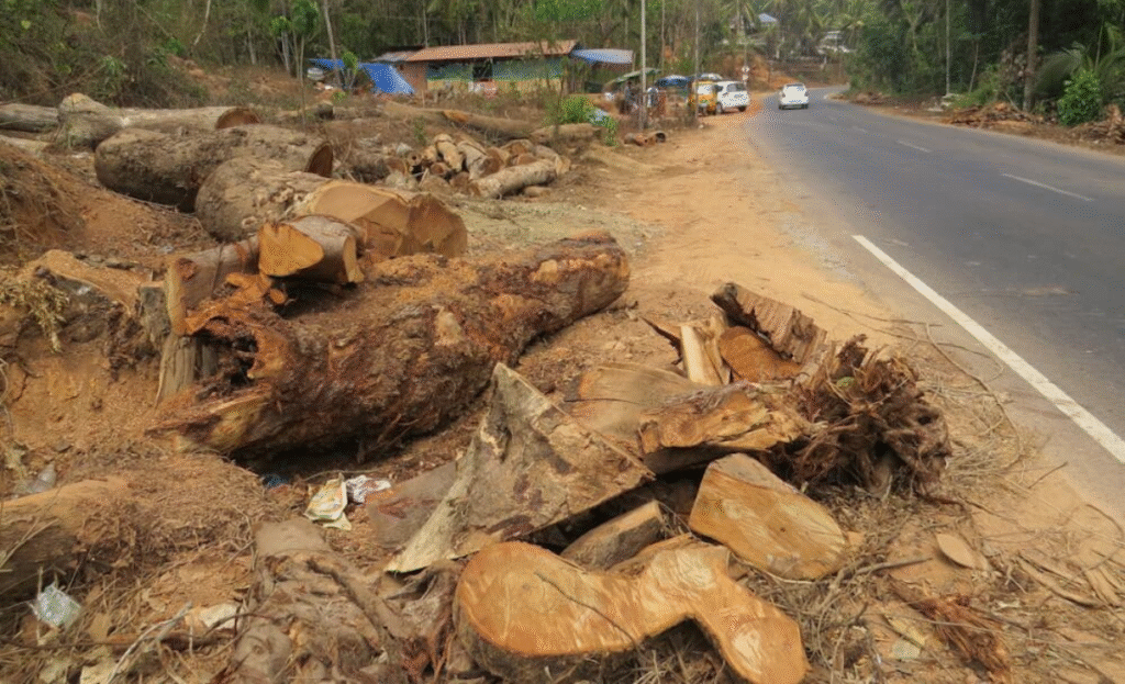 Wake-up call from Himalayas as Himachal battles nature’s wrath 3 h2