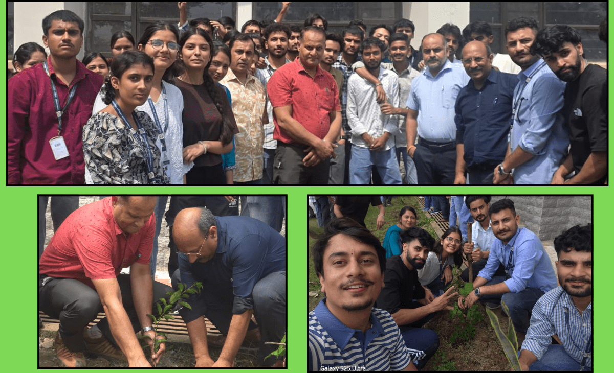 Tree Plantation Drive at Govt. College Dharamshala MCA Department