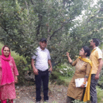Experts from KVK Saru Address Apple Tree Diseases in Bharmour’s Tribal Orchards