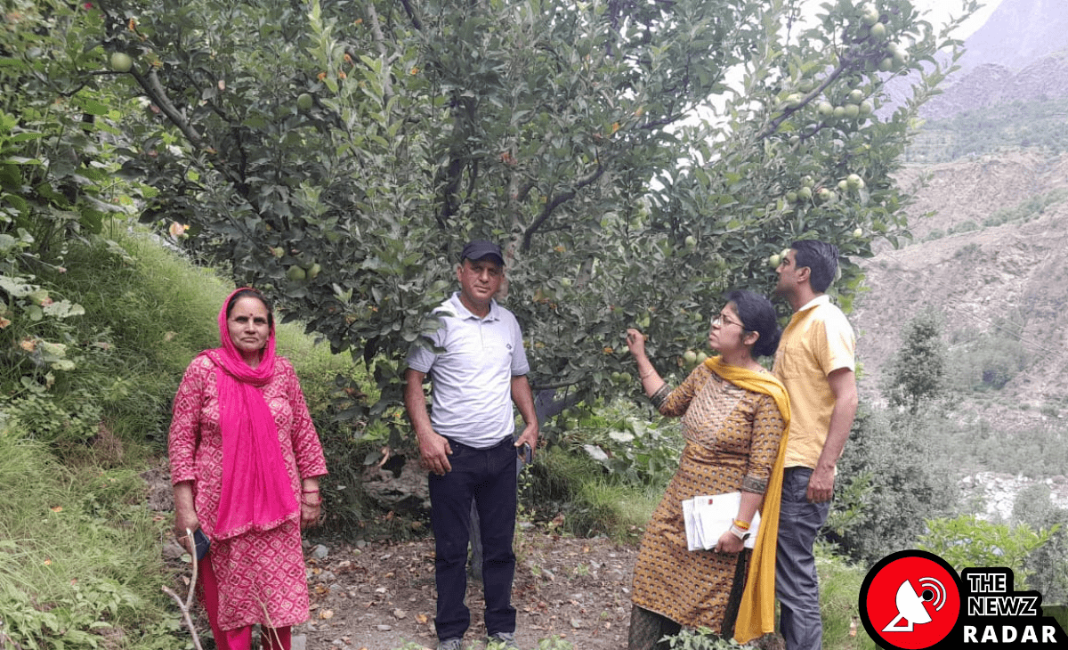 Experts from KVK Saru Address Apple Tree Diseases in Bharmour’s Tribal Orchards