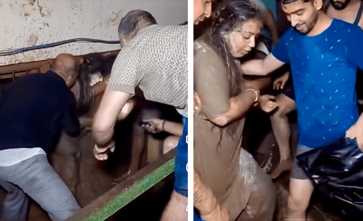 Torchlight and a tiny window: Himachal woman’s daring escape from Mandi flash flood goes viral on social media