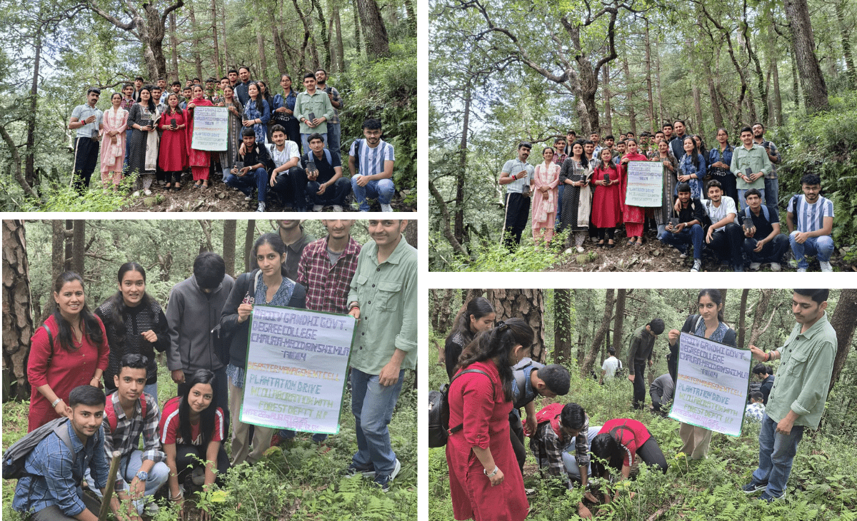 Tree Plantation Drive by Rajiv Gandhi Government College (Kotshera), Shimla for the Protection of River Catchment Areas.