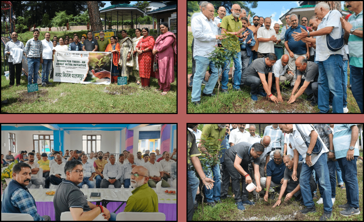 Ashish Butail Leads Tree Plantation Drive in Palampur