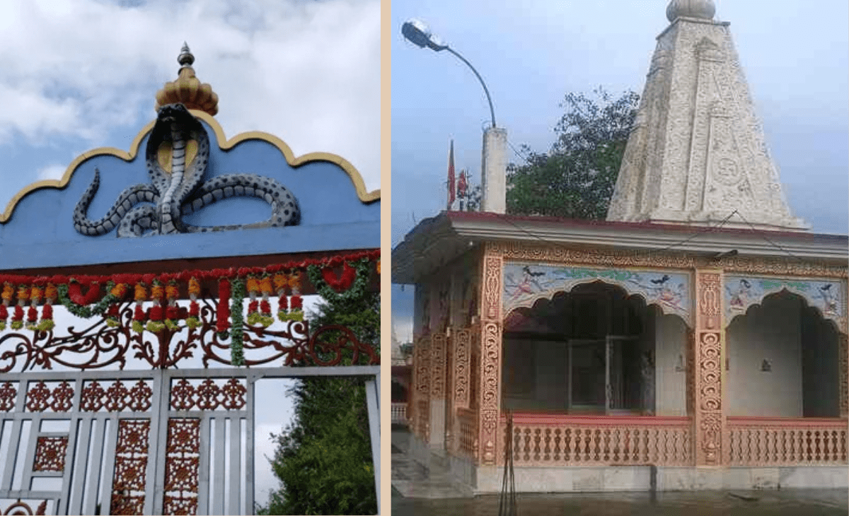 Curious ritual at Himachal temple where top Kangra deity loses staged war to witches for humanity sake