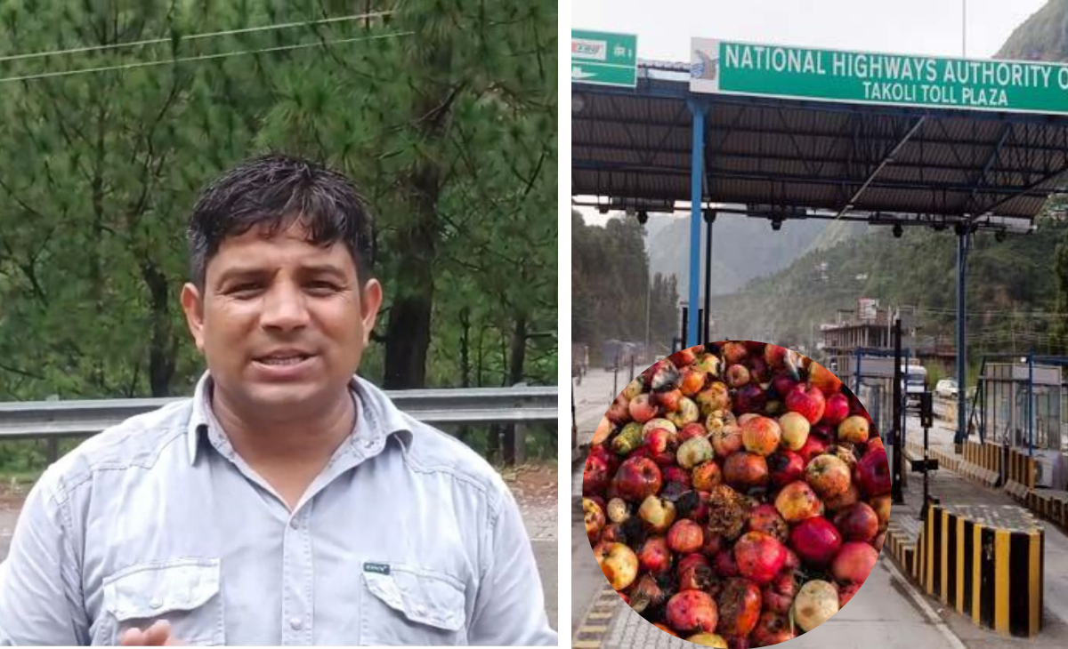 Apples rotting due to blocked Himachal roads, Mandi-Kullu orchardists demand suspension of payment at NHAI Takoli toll plaza
