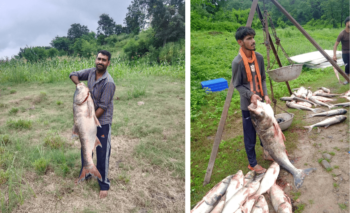 Ban Lifted, Himachal’s Fishermen Reel in Record Catches on Opening Day