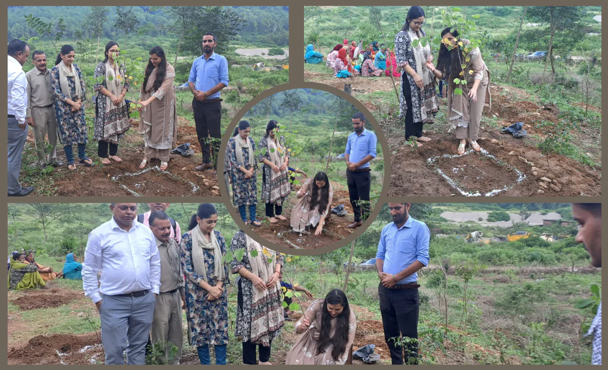 Tree plantation drive conducted at Kangra Judicial Complex
