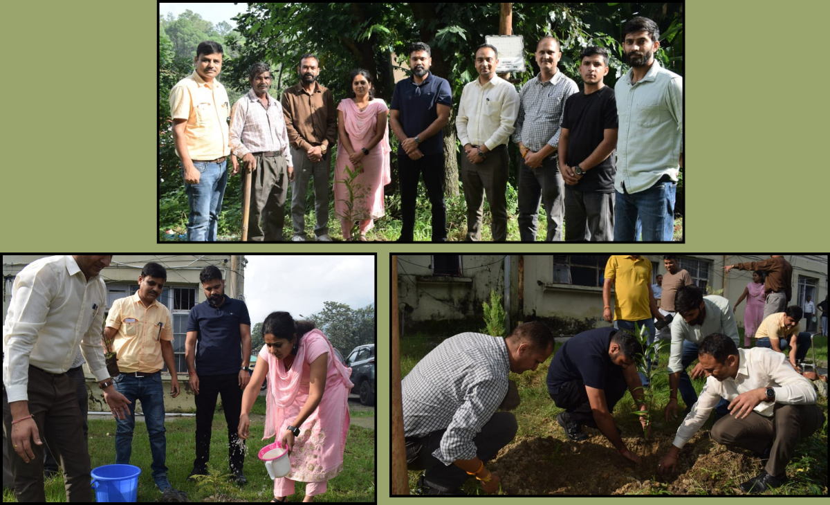 Tree Plantation at Joint Office Complex Sends Message of Environmental Conservation