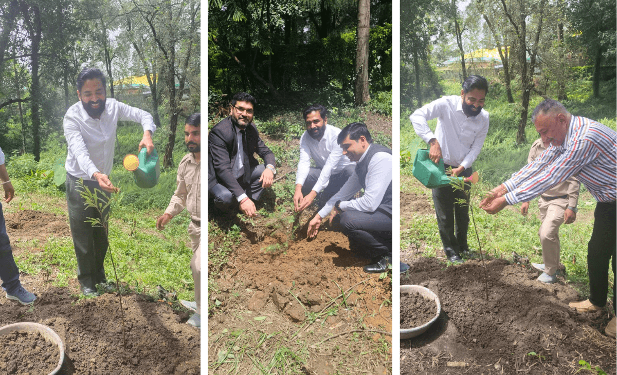 Tree plantation drive held at Palampur court complex