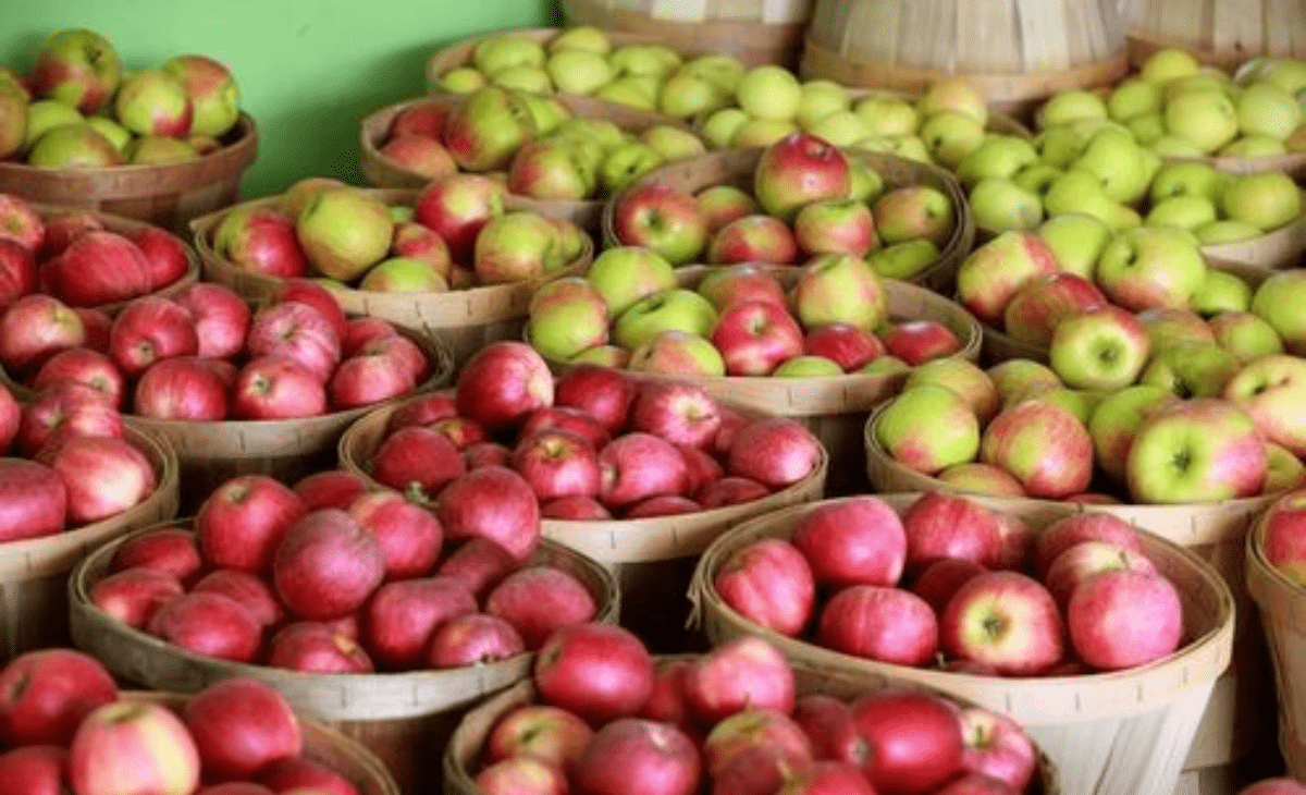 Rain hits Rs 5,000-cr Himachal apple economy hard as lakhs of boxes stuck on roads in Kullu, Shimla due to blockades