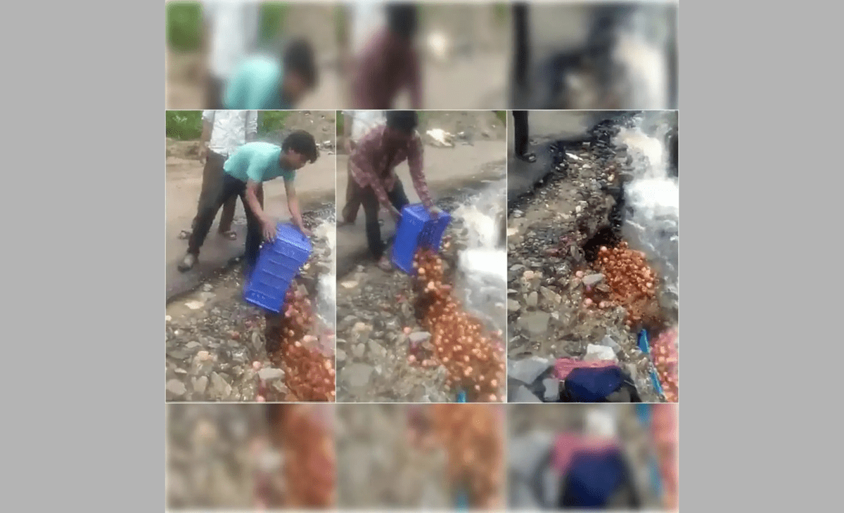 Himachal growers forced to dump apples in drain as govt fails to open procurement centres; Shimla incident goes viral
