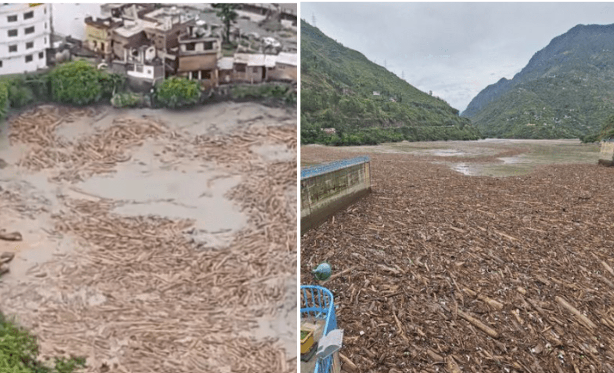 Illegal felling? SC issues notice to Himachal over wooden logs floating in flooded rivers