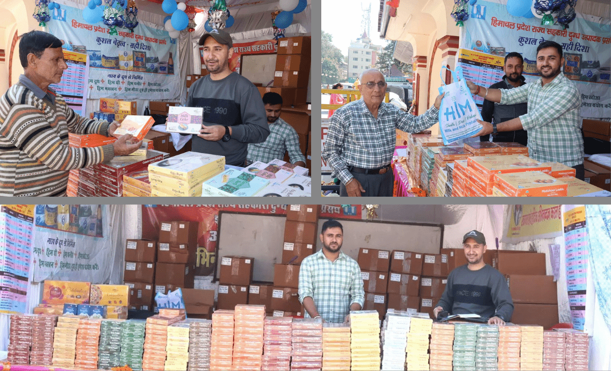 Milkfed rolls out special varieties of desi ghee sweets across Himachal this Diwali, read for counters and rates