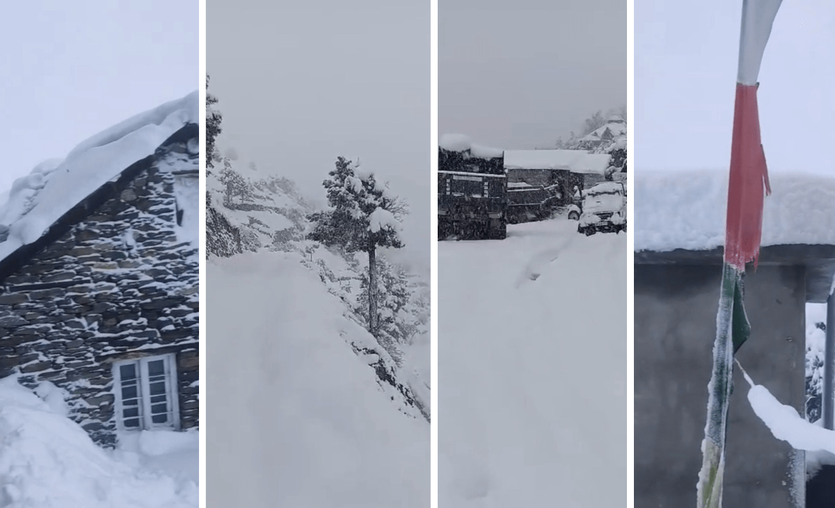 Himachal weather: Snowing for 3 days, life paralysed in Lahaul; roads blocked, power supply hit, apple orchardists distressed