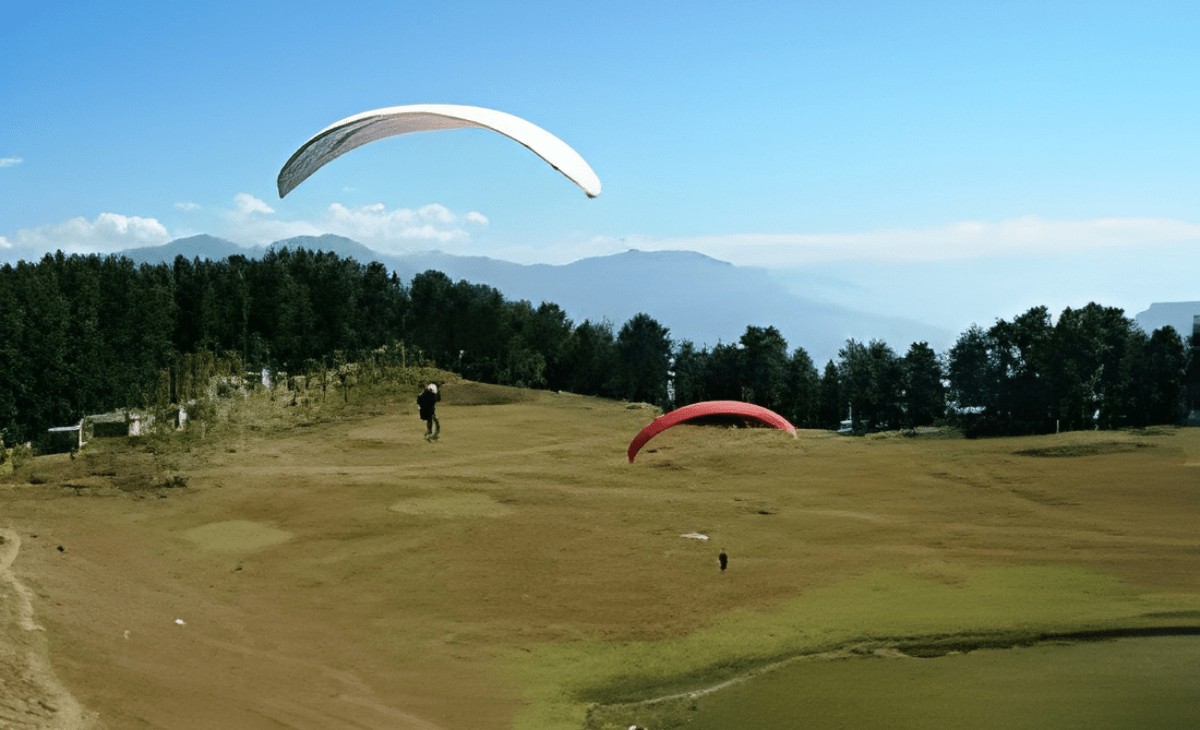 Pilot injured as paraglider crashes on opening day of Himachal Flying Festival in Shimla