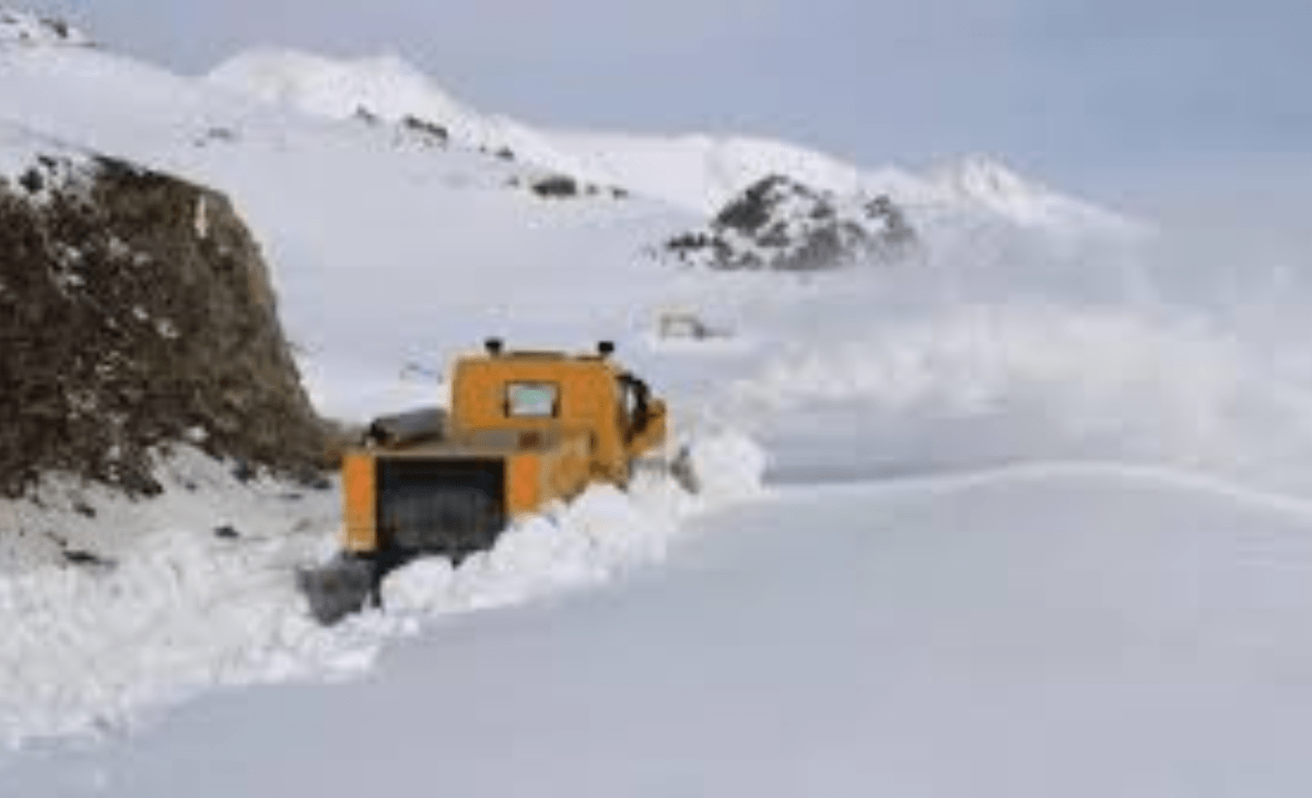 Himachal weather: Manali-Leh highway reopens after snow clearance at Baralacha Pass; light rain predicted in isolated parts today