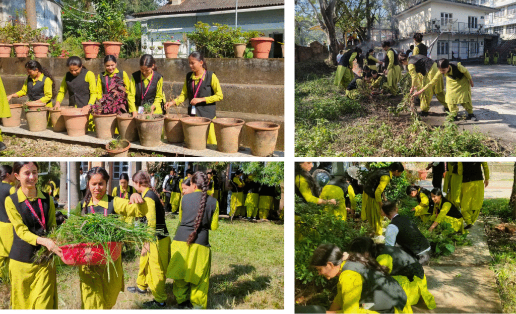 Eco Club “Goria” organises campus cleanliness drive at Government College of Teacher Education, Dharamshala 2 post8 9