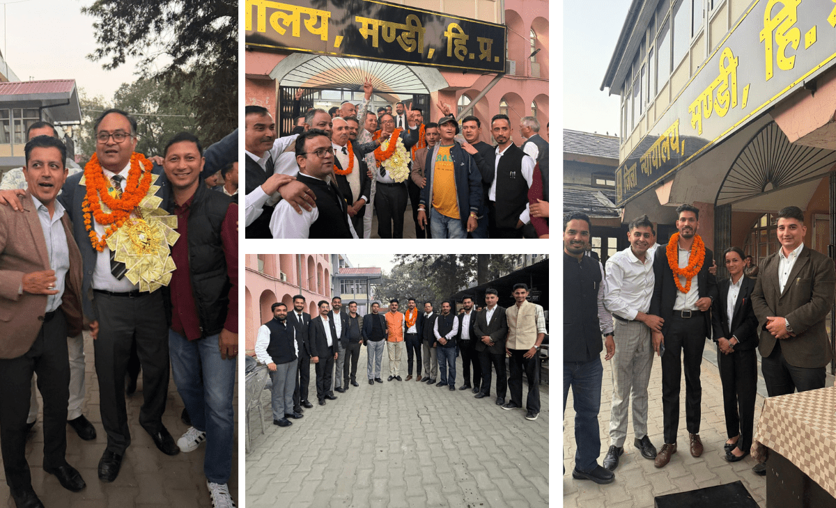 Dinesh Saklani Retains Presidency of Mandi Bar Association for Second Consecutive Term